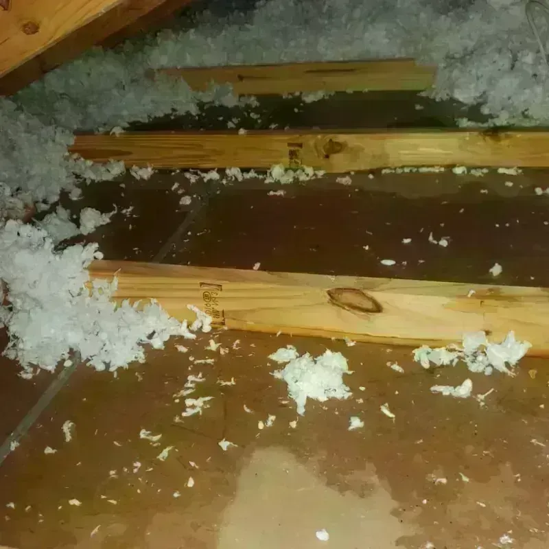 Attic Water Damage in Gateway, AK