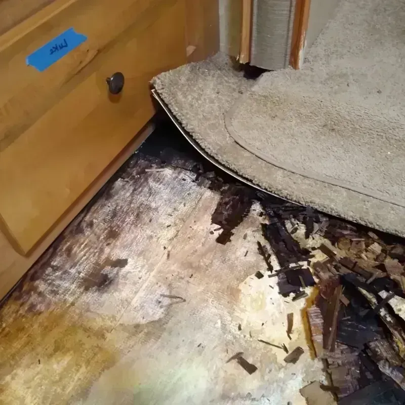 Wood Floor Water Damage in Gateway, AK